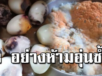 แม่บ้านต้องรู้ไว้ 8 อาหารเหล่านี้ ไม่ควรนำไปอุ่นอีกรอบ