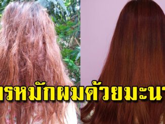 เส้นผมนุ่มลื่นด้วยมะนาว ดกดำสวยเงางาม ทำเองได้ ไม่ง้อร้าน