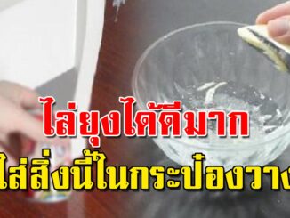 แค่นำกระป๋องไปวางไว้ใต้เตียง ก็ไม่ต้องปัดอีกต่อไป