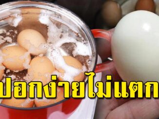 เคล็ดลับต้มไข่ ไม่ให้แตกปอกเปลือกง่าย ที่หลายคนมองข้ามไป