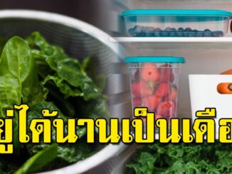 3 เคล็ดลับง่ายๆเก็บผักผลไม้ ให้สดใหม่ อยู่นานเป็นเดือน