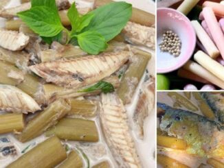 แกงกะทิปลาทูใส่สายบัว สูตรโบราณ ทำทานเองได้ง่ายๆแถมอร่อยอีกด้วย