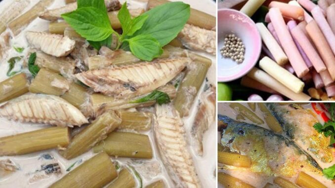 แกงกะทิปลาทูใส่สายบัว สูตรโบราณ ทำทานเองได้ง่ายๆแถมอร่อยอีกด้วย