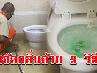 กลิ่นในห้องน้ำจะหายไป ทำแค่ 3 วิธี ก็กลับมาหอม