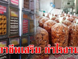 ไม่ต้องมีร้าน ขนมปี๊บ แพ็คใส่ถุงสร้างอาชีพ ตัวคนเดียวก็ทำได้