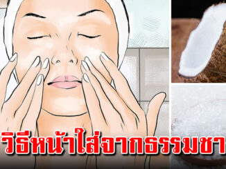 4 สูตรพอกหน้าใส แบบธรรมชาติ ผิวหน้าเนียนนุ่ม กระจ่างใส ลดความมัน