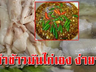 บอกทุกขั้นตอน เคล็ดลับทำข้าวมันไก่โบราณ พร้อมการทำน้ำจิ้ม ทำเปิดร้านได้สบาย