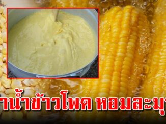 น้ำข้าวโพดทำเอง กลิ่นหอมละมุน รสชาติอร่อยมาก