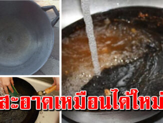 คราบติดแน่น ขัดให้ออกหมดได้ เปลี่ยนจากใบเก่าเป็นใบใหม่