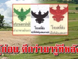 สิ่งที่ต้องรู้ โฉนดครุฑแดง ครุฑเขียว ครุฑดำ ดูให้ดีก่อนซื้อขาย