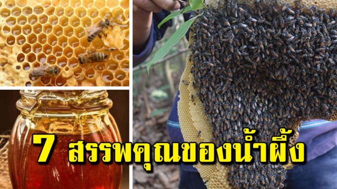 เคล็ดไม่ลับ 7 สรรพคุณของน้ำผึ้ง ดูแลตัวเองได้ที่บ้าน ง่ายๆ
