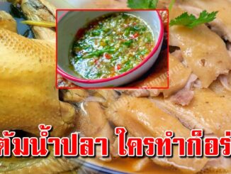 วิธีทำไก่ต้มน้ำปลา อร่อยเหมือนร้านดัง พร้อมน้ำจิ้มรสเด็ด