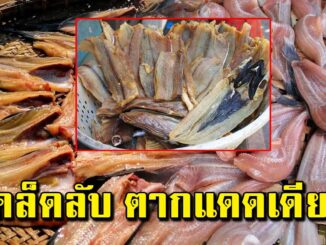 แม่บ้านบอก วิ ธี ตากอาหารแดดเดียว ทำง่ า ยนิดเดียว