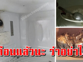 6 ภาชนะ ที่ไม่ใช้กับไมโครเวฟ หลายคนคงไม่รู้