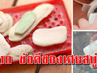 เศษสบู่เหลือ ไม่ต้องทิ้ง 10 ข้อดีของสบู่ ทำแล้วผลลัพธ์ดีมาก