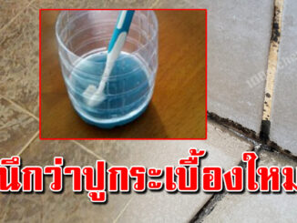 ร่องยาแนวดำ เปลี่ยนให้ขาวเหมือนปูพื้นใหม่ วิธีนี่ขาววิ้ง