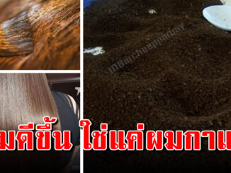 เส้นผมนุ่มลื่น สีผมสวย ปิดขาวด้วยผงกาแฟ แม่บ้านต้องรู้