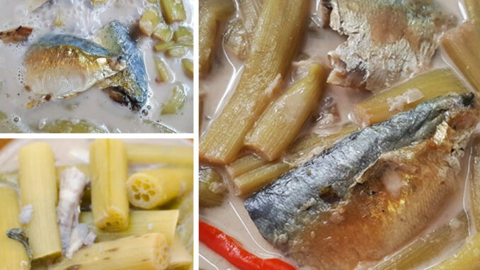 ต้มกะทิสายบัวกับปลาทู กลมกล่อมนัวร์กะทิ เมนูกับข้าวอร่อยมากได้ประโยชน์