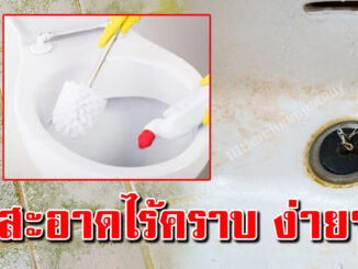 บอกแม่บ้าน วิธีขัดพื้นในห้องน้ำ คราบที่เหลืองๆ ขัดไม่ออก มีกลิ่นโชย