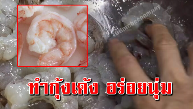 เทคนิคทำกุ้งสดให้เป็นกุ้งเด้ง กุ้งแก้ว เหมือนM K ใสกรอบไม่คาว