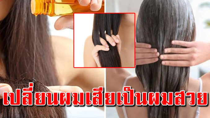 4 สูตรหมักผม แก้เส้นผมแห้ง ผมชี้ฟู ให้กลับมานุ่มสวย