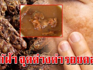 4 สูตรพอกหน้า ผิวหน้าขาวกระจ่างใส หน้าเด้งด้วย “มะขามเปียก”