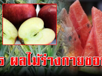 แนะผลไม้ 5 อย่างกินให้บ่อยๆ ผลลัพธ์ดูแลร่างกายมาเป็น10ปี