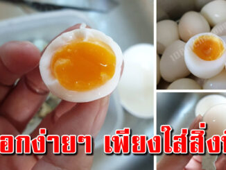 เคล็ดลับต้มไข่ ไม่ให้แตกปอกเปลือกง่าย ที่หลายคนมองข้ามไป