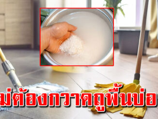 บอกแม่บ้าน ไม่ต้องกวาดพื้นเป็นสัปดาห์ พื้นยังสะอาดได้