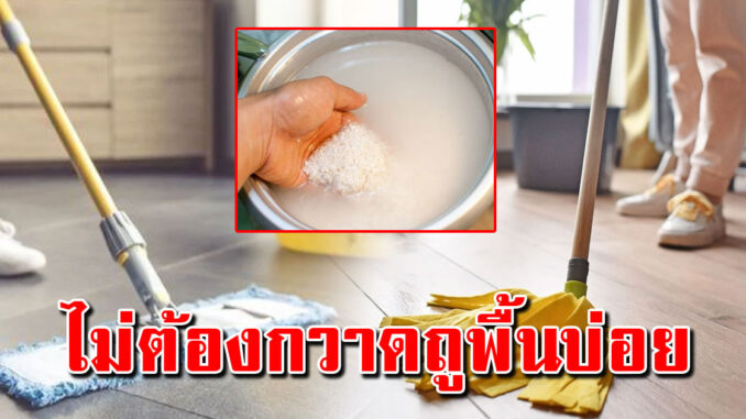 บอกแม่บ้าน ไม่ต้องกวาดพื้นเป็นสัปดาห์ พื้นยังสะอาดได้