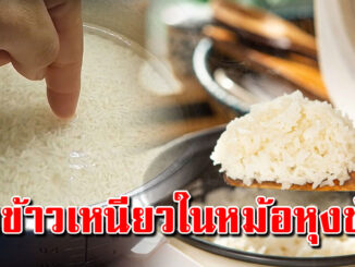 ข้าวเหนียวหุงวิธีนี่ง่ายมาก หุงด้วยหม้อข้าวไฟฟ้า อร่อยนุ่มนาน