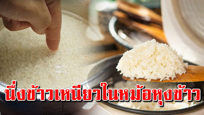 ข้าวเหนียวหุงวิธีนี่ง่ายมาก หุงด้วยหม้อข้าวไฟฟ้า อร่อยนุ่มนาน