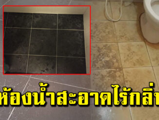 กระเบื้องใคร ในห้องน้ำเป็นคราบ ลื่น ขัดออกให้สะอาด ไร้กลิ่นฉุน ง่ายๆ