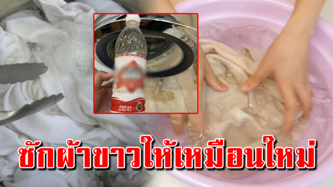 ซักออกหมด 7 วิธีในการซักผ้า ให้ผ้าขาวสะอาด หอมไร้กลิ่นอับ