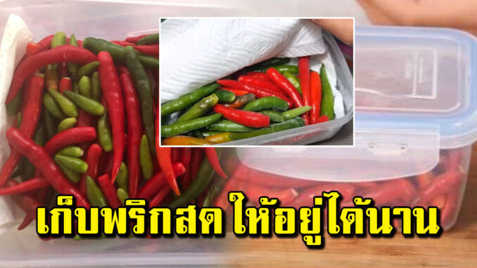 ทริคเก็บพริก ให้คงความสดใหม่ เก็บได้นานเป็นปี