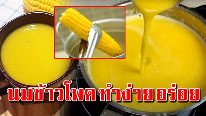 นมข้าวโพดเครื่องดื่มง่ายๆ อร่อย ร่างกายชอบ